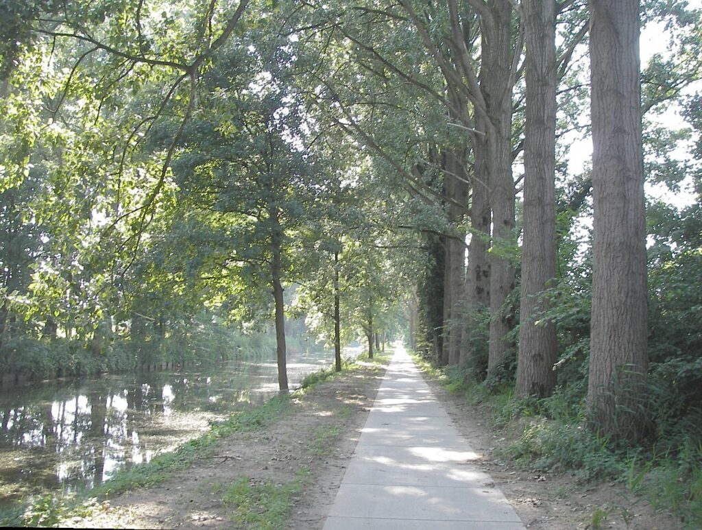 Eindhovens kanaal bij mierlo.jpg
