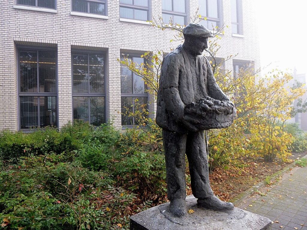Kersenplukker